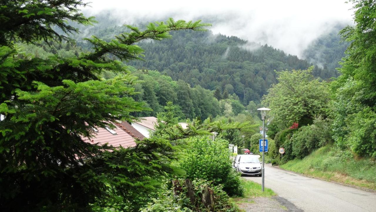 Alb-Rosa Apartment Bad Herrenalb Luaran gambar